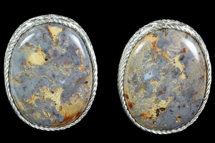 Agatized Dinosaur Bone (Gembone) Earrings - Sterling Silver #86547